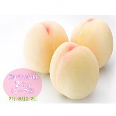 ふるさと納税 高梁市 [発送月固定定期便]晴れ晴れおかやま旬の白桃2kg 全2回
