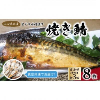ふるさと納税 宇部市 [2ヵ月毎定期便]簡単レンジであたため調理焼きさばとくぢ味噌漬け8枚(1枚約90g)合計24枚全3回