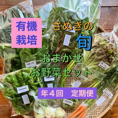 ふるさと納税 さぬき市 [3ヵ月毎定期便]さぬき市小田産の食を楽しむTAGATAMEのお任せお野菜セット7〜10品全4回