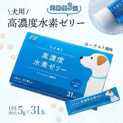 ふるさと納税 北九州市 [毎月定期便]高濃度水素ゼリー 犬用 5g×31本全3回
