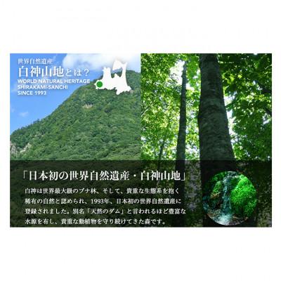 ふるさと納税 鰺ヶ沢町 【3ヵ月毎定期便】白神山地の水 500ml×24本[53841400]全4回_2