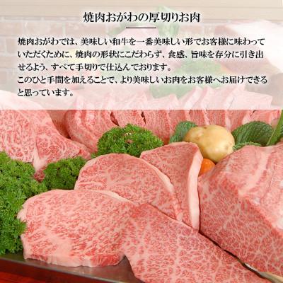 ふるさと納税 佐々町 【毎月定期便】焼肉おがわ 長崎和牛A5ランク サーロインステーキ(2枚計400g)(佐々町)全12回_2