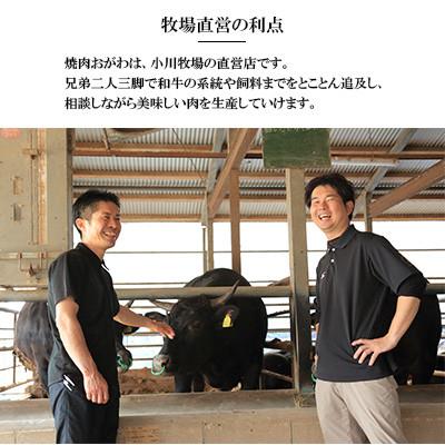 ふるさと納税 佐々町 【毎月定期便】焼肉おがわ 長崎和牛A5ランク サーロインステーキ(2枚計400g)(佐々町)全12回_3