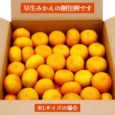 ふるさと納税 長崎市 【発送月固定定期便】柑橘 お楽しみ定期便 みかん ポンカン 不知火など フルーツおまかせ便全3回_2