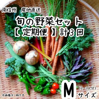 ふるさと納税 飯田市 [発送月固定定期便]旬の野菜セット詰め合わせ Mサイズ 2〜3人分全3回