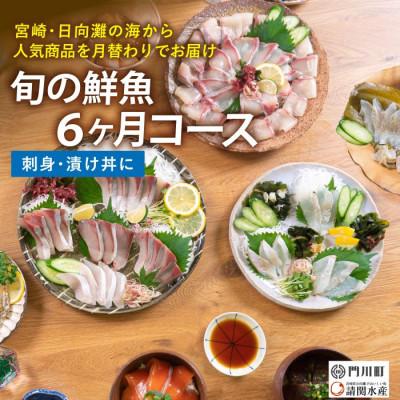 ふるさと納税 門川町 [毎月定期便]旬の鮮魚6ヶ月コース(門川町)全6回