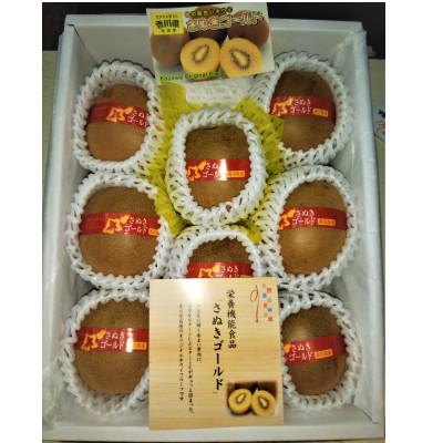 ふるさと納税 三豊市 [発送月固定定期便][さぬき讃フルーツ]造田商店 キウイ食べくらべ定期便全2回