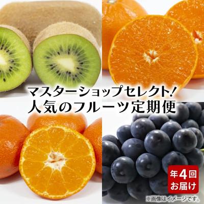 ふるさと納税 三豊市 [発送月固定定期便]造田商店のセレクト定期便全4回