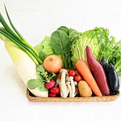 ふるさと納税 京丹波町 【毎月定期便】京丹波 旬菜セット プレミアム 10〜12品目 卵付き 野菜 野菜定期便 全12回 |  | 01
