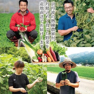 ふるさと納税 京丹波町 【毎月定期便】京丹波 旬菜セット プレミアム 10〜12品目 卵付き 野菜 野菜定期便 全12回 |  | 02
