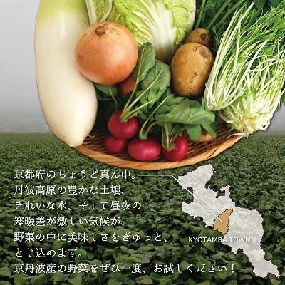ふるさと納税 京丹波町 【毎月定期便】京丹波 旬菜セット プレミアム 10〜12品目 卵付き 野菜 野菜定期便 全12回 |  | 03