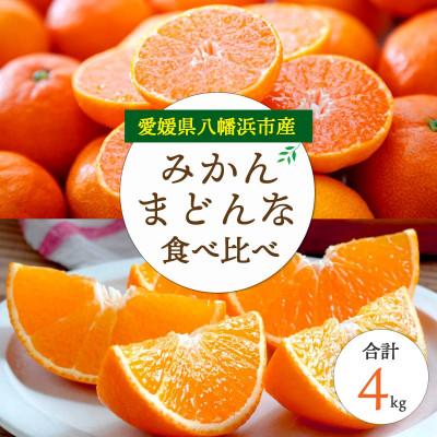 ふるさと納税 八幡浜市 愛媛みかん・まどんな食べ比べ[訳あり][D25-193][複数個口で配送]