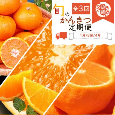 ふるさと納税 かつらぎ町 [発送月固定定期便]紀州和歌山産旬のフルーツセット(みかん・紀州デコ・清見)全3回