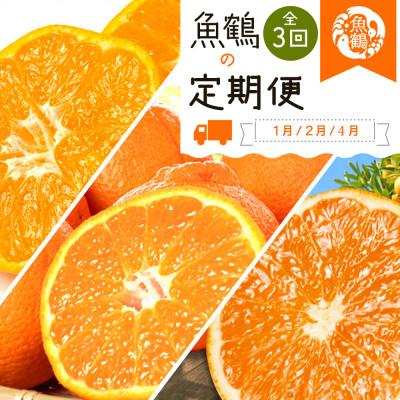 ふるさと納税 かつらぎ町 [発送月固定定期便]紀州和歌山産旬の柑橘セット(みかん・不知火・清見)全3回