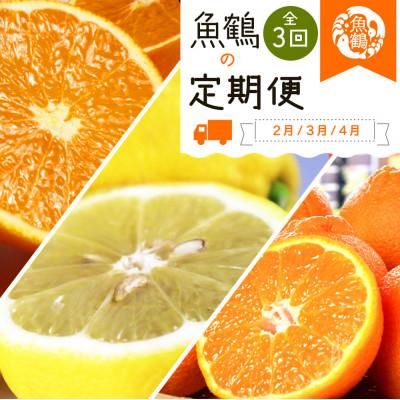 ふるさと納税 かつらぎ町 [発送月固定定期便]紀州和歌山産旬の柑橘セット(不知火・レモン・清見)全3回