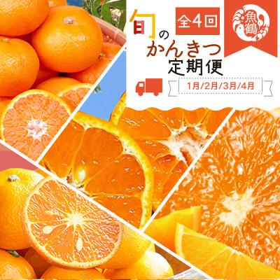 ふるさと納税 かつらぎ町 [発送月固定定期便]紀州和歌山産旬のご家庭用柑橘セット(みかん・不知火・せとか・清見)全4回