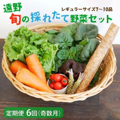 ふるさと納税 遠野市 [発送月固定定期便]奇数月発送 旬のとれたて野菜セット(7〜10品)レギュラーサイズ全6回