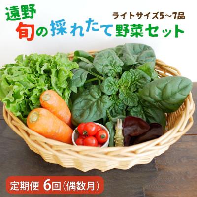 ふるさと納税 遠野市 [発送月固定定期便]偶数月発送 旬のとれたて野菜セット(5〜7品)ライトサイズ全6回