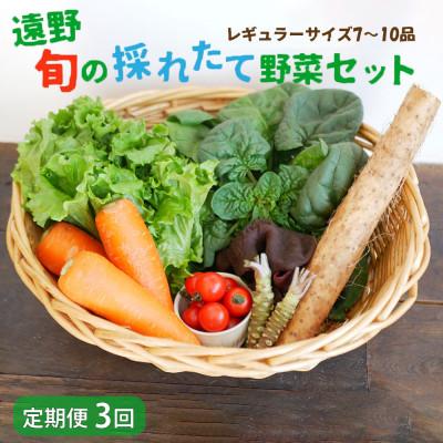ふるさと納税 遠野市 [毎月定期便]旬のとれたて野菜セット(7〜10品)レギュラーサイズ[こんたでぃーの遠野]全3回