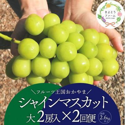 ふるさと納税 真庭市 [発送月固定定期便][2026年先行予約]シャインマスカット大2房の満足便/全便計2.6kg〜全2回