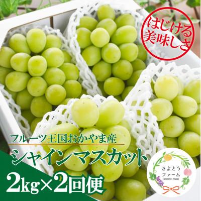 ふるさと納税 真庭市 [発送月固定定期便][2026年先行予約]シャインマスカットを楽しむ満足便/全便計4.0kg〜全2回