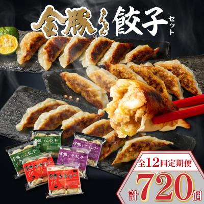 ふるさと納税 宮崎市 [毎月定期便]金豚餃子セット(香港・しそ・にら)1パック10個入×各2パック(計60個)全12回