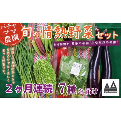 ふるさと納税 下妻市 [毎月定期便]農園自慢の情熱野菜セット7品(種類おまかせ)全2回