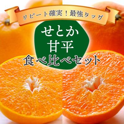 ふるさと納税 八幡浜市 愛媛の人気柑橘をセットに!せとか・甘平 食べ比べセット[訳あり][F25-196][複数個口で配送]