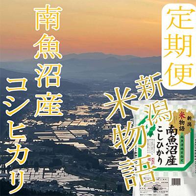 ふるさと納税 南魚沼市 【発送月固定定期便】【米物語※2Kg】南魚沼産コシヒカリ全9回_2