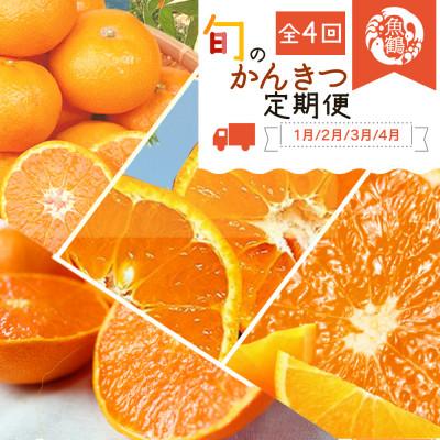 ふるさと納税 印南町 [発送月固定定期便]紀州和歌山産旬の柑橘セット(みかん・不知火・せとか・清見)全4回