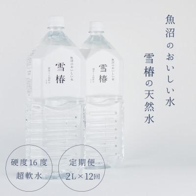 ふるさと納税 津南町 [発送月固定定期便]雪椿の天然水 硬度16度超軟水[2L×6本]全12回