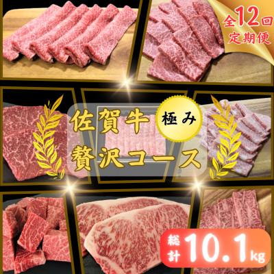 ふるさと納税 江北町 [発送月固定定期便]佐賀牛 贅沢コース&lt;極み&gt;全12回