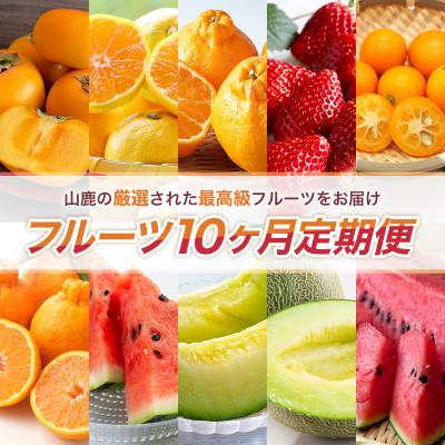 ふるさと納税 山鹿市 [発送月固定定期便]フルーツ10ヶ月定期便(10月〜7月)(山鹿市)全10回