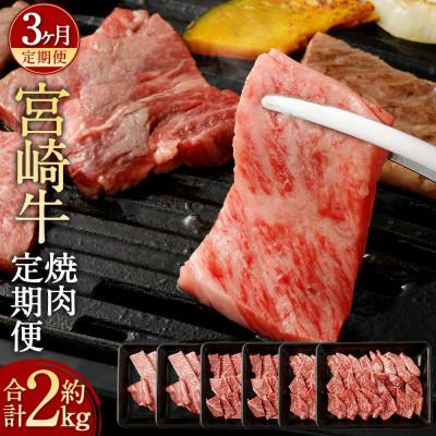 ふるさと納税 高鍋町 [毎月定期便]宮崎牛焼肉定期便全3回