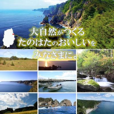 ふるさと納税 田野畑村 【毎月定期便】好評!　生乳100%使用!!　たのはた牛乳・ヨーグルトセット(TK-7)全3回 |  | 03