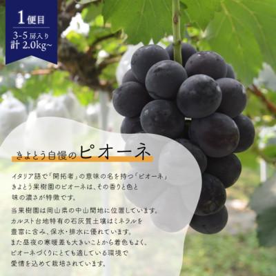 ふるさと納税 津山市 【発送月固定定期便】ピオーネとシャインマスカットの2回便! 各2.0kg〜 (岡山県産)全2回の画像