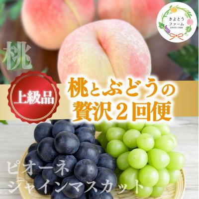 ふるさと納税 津山市 [発送月固定定期便][2026年先行予約]桃とピオーネ&amp;シャインマスカット贅沢2回便(岡山産)全2回