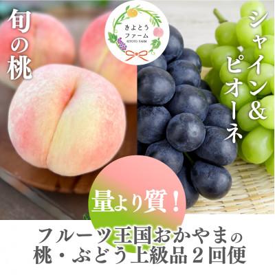 ふるさと納税 津山市 [発送月固定定期便][2026年先行予約]量より質!桃とピオーネ&amp;シャインの定期便(岡山県産)全2回