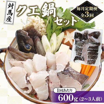 ふるさと納税 対馬市 [毎月定期便]対馬産クエ鍋セット600g(2〜3人前)全3回