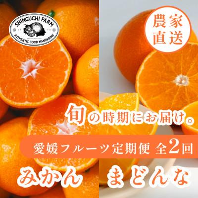 ふるさと納税 八幡浜市 [発送月固定定期便]愛媛フルーツ旬の柑橘 みかん・まどんな 各2kg[E70-77]全2回