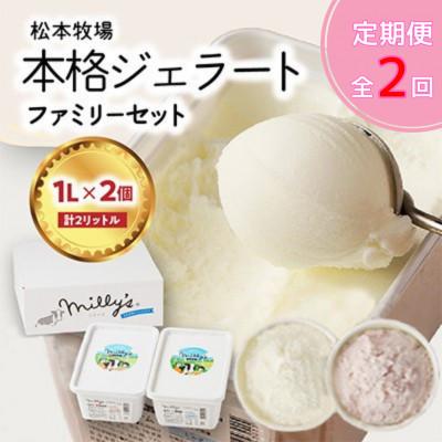 ふるさと納税 玄海町 [毎月定期便]松本牧場アイス 本格ジェラートファミリーセット(1L×2個)[Z062]全2回