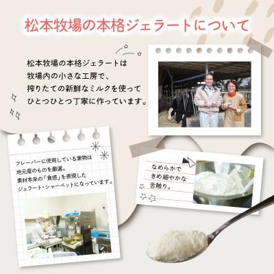 ふるさと納税 玄海町 【毎月定期便】松本牧場アイス 本格ジェラートファミリーセット(1L×2個)【Z063】全3回_2