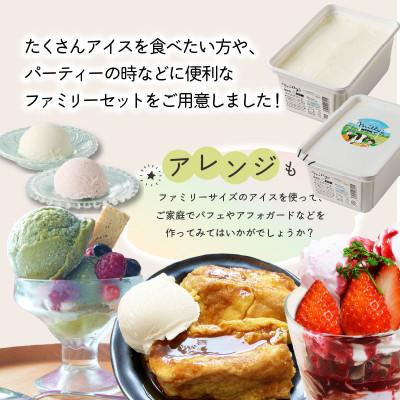 ふるさと納税 玄海町 【毎月定期便】松本牧場アイス 本格ジェラートファミリーセット(1L×2個)【Z063】全3回_3