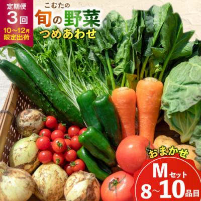 ふるさと納税 島原市 [発送月固定定期便][10〜12月限定出荷]こむたの旬の野菜(8〜10品目)おまかせMセット全3回
