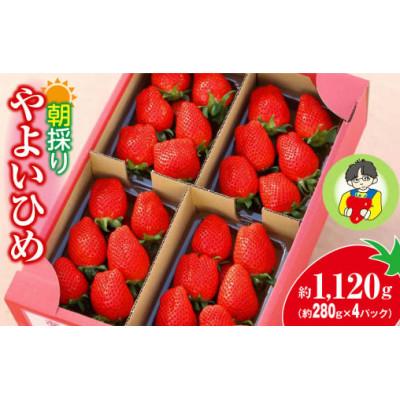 ふるさと納税 前橋市 [発送月固定定期便]やよいひめ約280g×4パック 強い香り、味を皆様のもとへ全4回