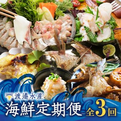 ふるさと納税 玄海町 [発送月固定定期便]渡邉水産・海鮮定期便(10月〜12月発送)[Z071]全3回
