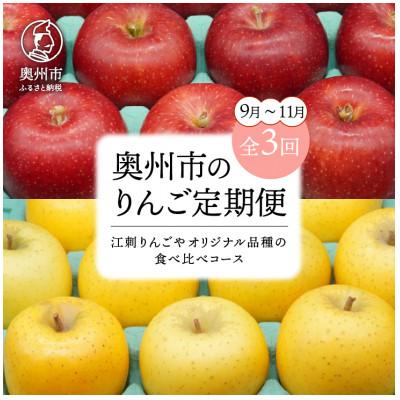 ふるさと納税 奥州市 [発送月固定定期便]奥州市のりんご定期便(9〜11月)江刺りんごなどの食べ比べ[AQ034]全3回