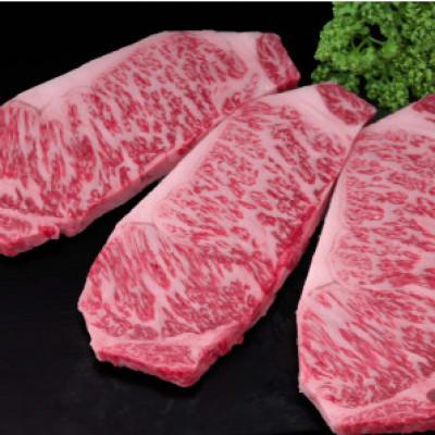 ふるさと納税 吉野ヶ里町 【毎月定期便】佐賀牛サーロインステーキ 200g×3枚(吉野ヶ里町)全12回_1