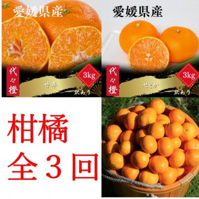 ふるさと納税 八幡浜市 [発送月固定定期便][訳あり]甘平 せとか みかん[H83-51]全3回