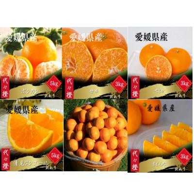 ふるさと納税 八幡浜市 [発送月固定定期便][訳あり]みかん柑橘のある暮らし[柑橘詰め合わせ便][H83-53]全6回